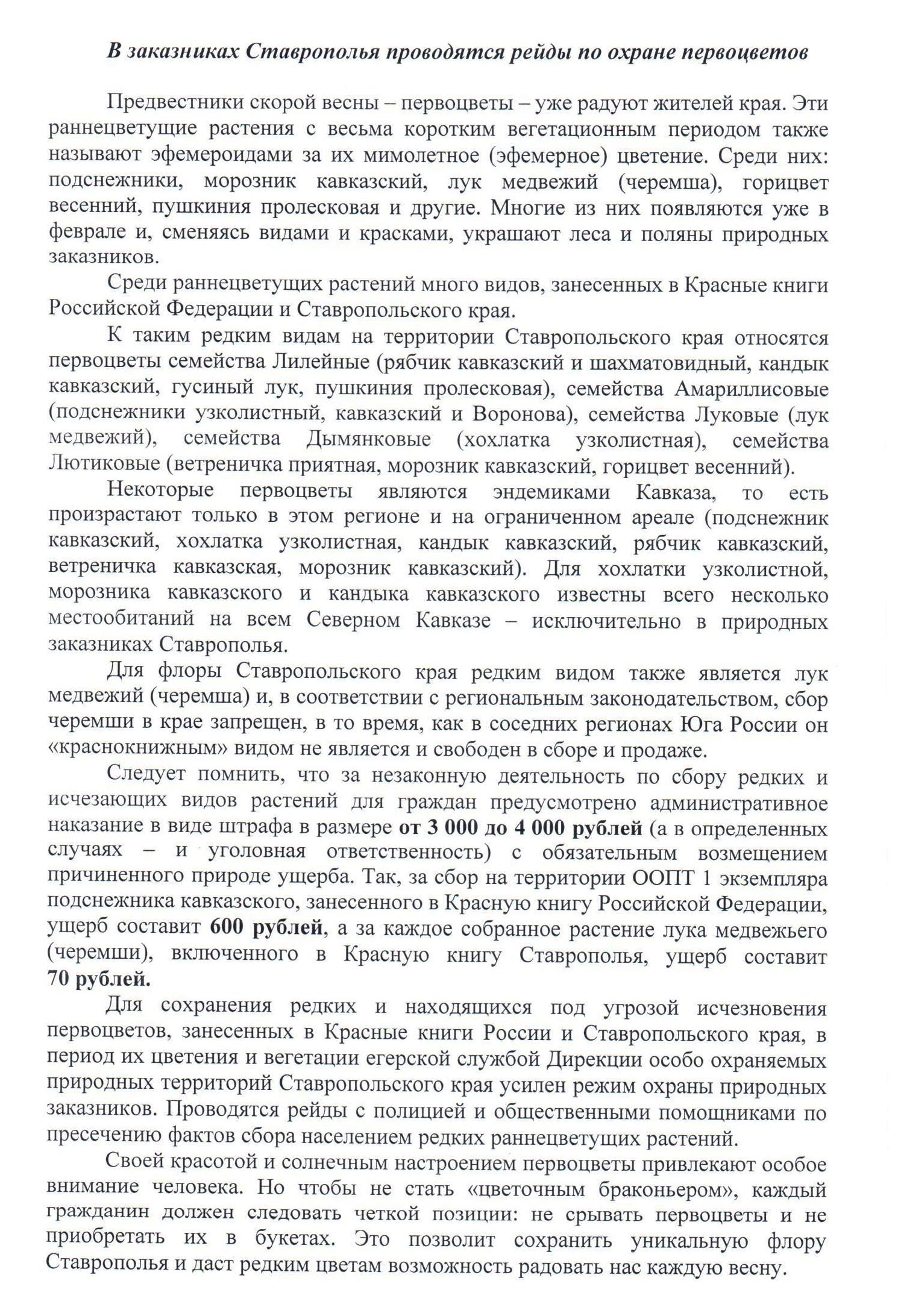 Первоцветы0002